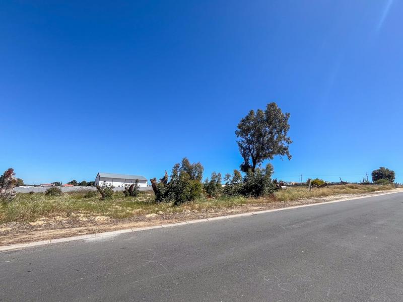 0 Bedroom Property for Sale in Hopefield Western Cape